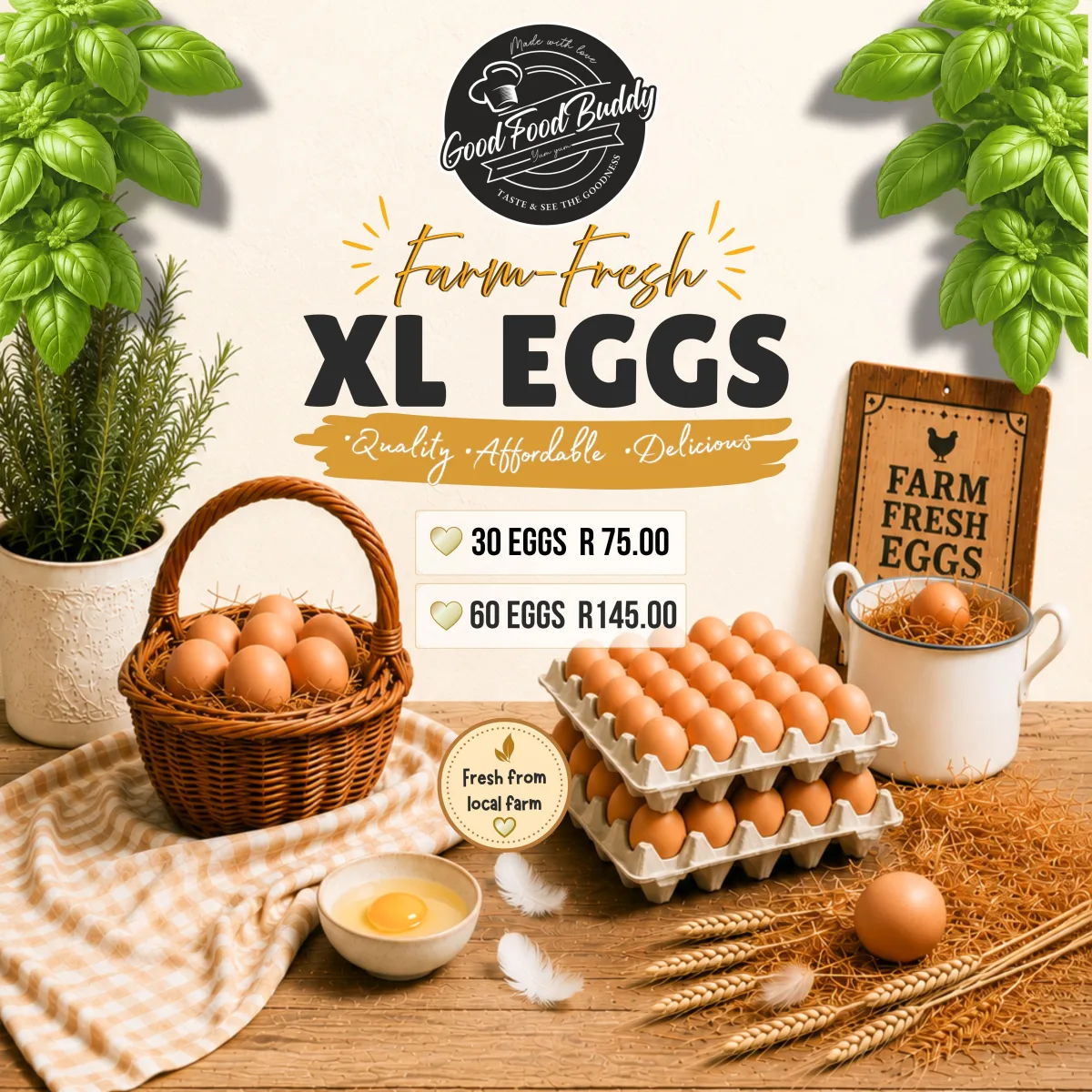 XL Eggs